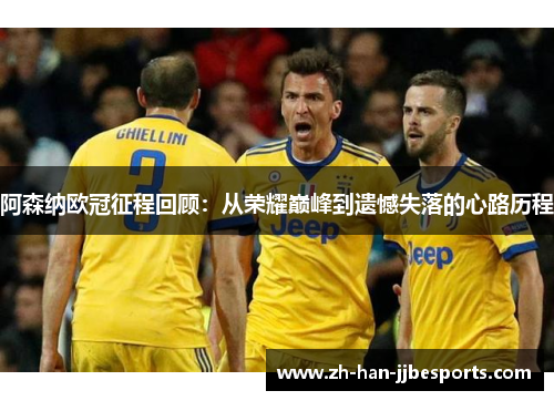 阿森纳欧冠征程回顾：从荣耀巅峰到遗憾失落的心路历程